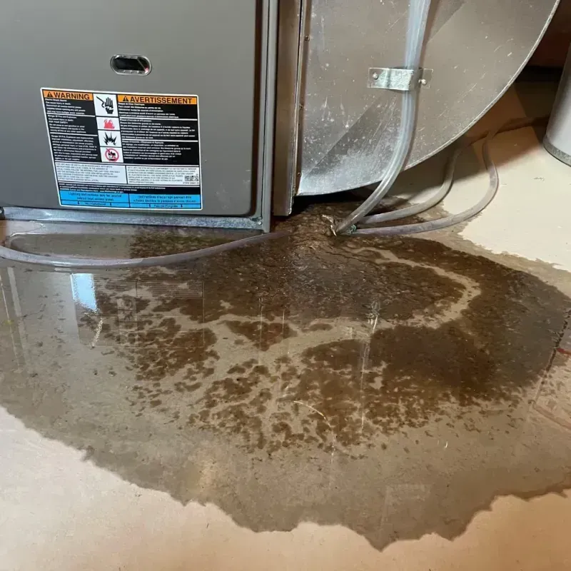 Appliance Leak Cleanup in Tiffin, IA